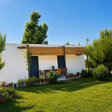 The Pine House Σπίτι διακοπών